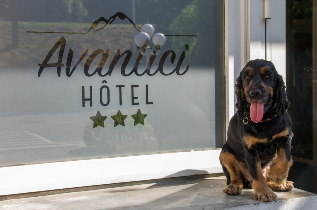 Cit'Hotel Avantici Gap Εξωτερικό φωτογραφία